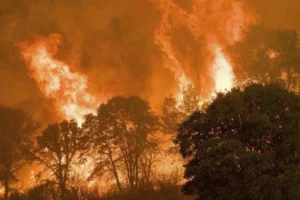 Guanajuato enfrenta en 2025 su peor crisis de incendios forestales en seis años