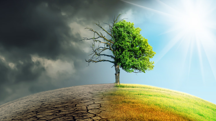 Hábitos urbanos que nos ayudan a adaptarnos al cambio climático 11 adaptación