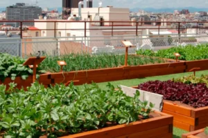 Agroforesteria urbana