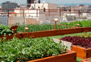 Agroforestería urbana: cuando la ciudad también cultiva bosques 15 Agroforesteria urbana