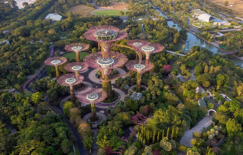 Biofilia urbana en oficinas