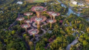 Biofilia urbana en oficinas