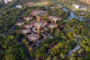 Biofilia urbana en oficinas