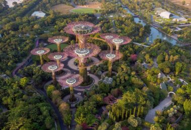 Biofilia urbana en oficinas