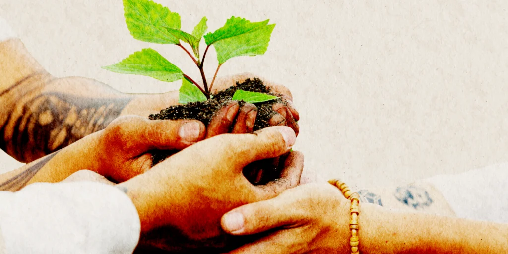 Reforestación urbana: ¿moda o necesidad? 11 Articulos Romi y Rob 1024x512 1