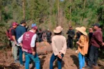 Coordinación federal logra frenar tala ilegal en el Bosque de Agua 2 Bosque de Agua