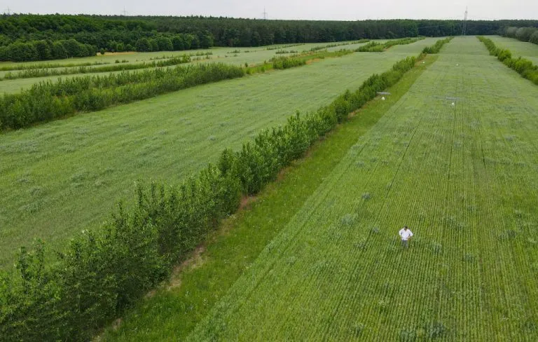 Bruselas propone créditos por cuidar la naturaleza y genera preocupación en el campo europeo 11 Bruselas