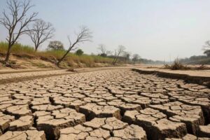 Cambio climático y sobreconsumo empujan al mundo