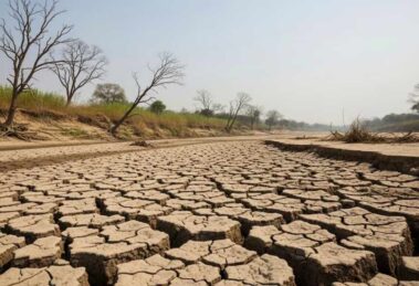 Cambio climático y sobreconsumo empujan al mundo