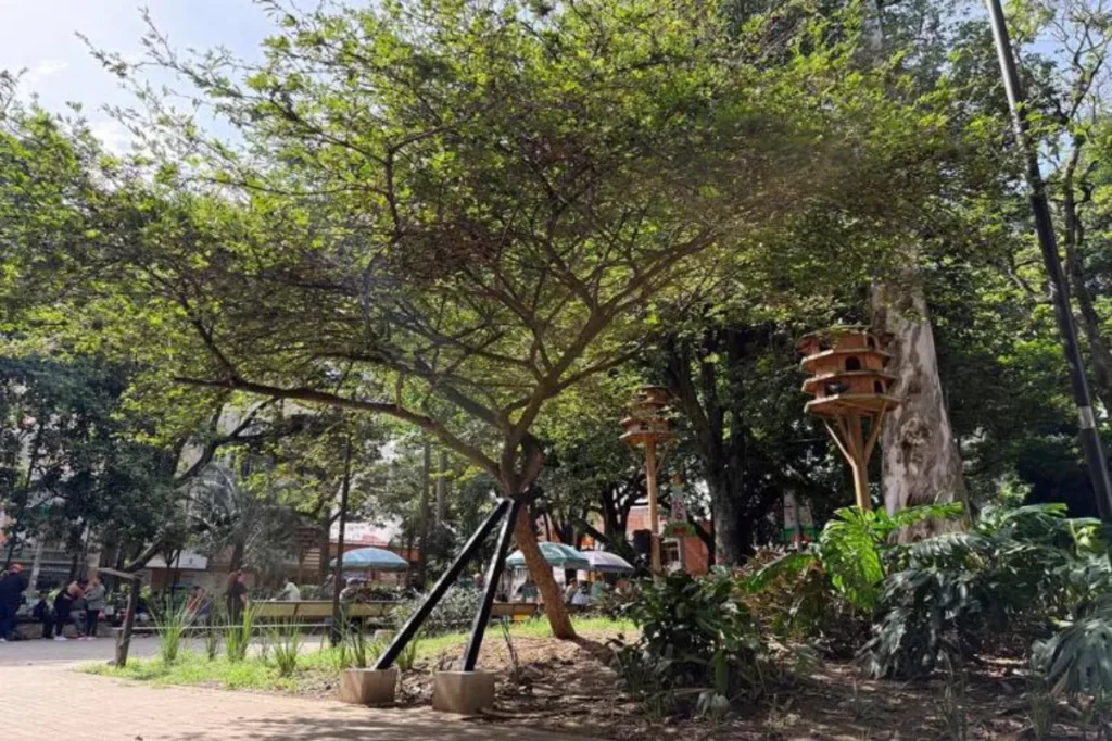 Carbonero Medellín: ‘muletas’ para aplazar su fin 11 Carbonero Medellín