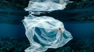 Cientificos japoneses