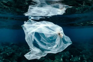 Cientificos japoneses