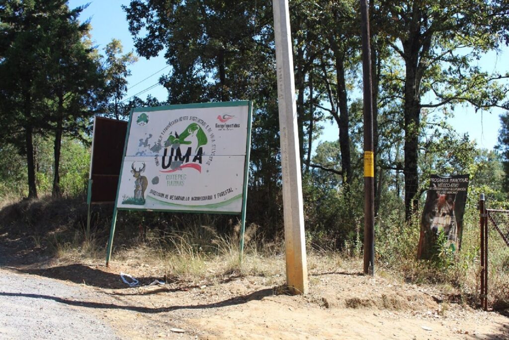 Coatepec Harinas se organiza