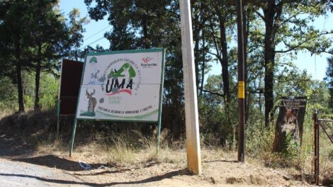 Coatepec Harinas se organiza