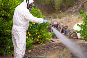 Comienza juicio clave por uso de plaguicidas peligrosos