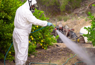 Comienza juicio clave por uso de plaguicidas peligrosos