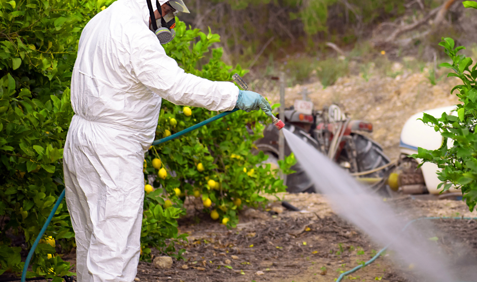 Comienza juicio clave por uso de plaguicidas peligrosos