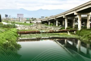 Comunidades y cultura