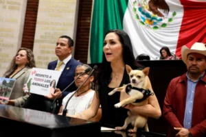 Congreso CDMX reconoce vacíos legales en refugios y alista regulación animal