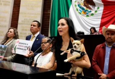 Congreso CDMX reconoce vacíos legales en refugios y alista regulación animal 16 Congreso CDMX reconoce vacíos legales en refugios y alista regulación animal