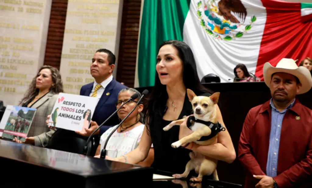 Congreso CDMX reconoce vacíos legales en refugios y alista regulación animal