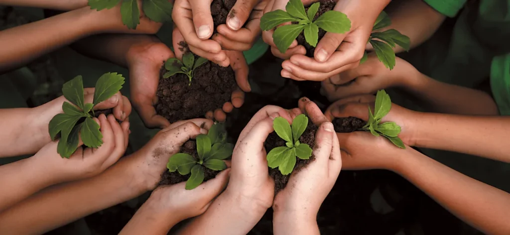 Construir un futuro sostenible: claves para una sociedad más justa y equilibrada 11 Construir un futuro sostenible