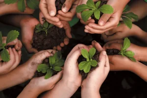 Construir un futuro sostenible