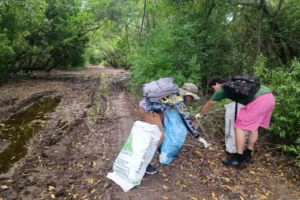 Cuidemos los Manglares