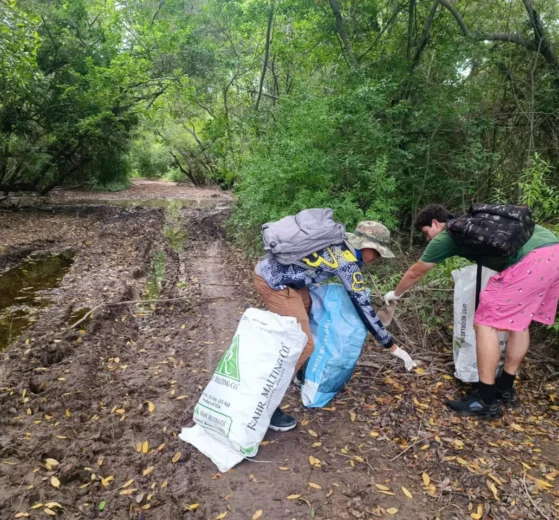 Recolectan 79 kilos de basura en manglar de Barrón durante el programa “Cuidemos los Manglares” 11 Cuidemos los Manglares