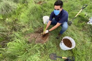 De la semilla al bosque