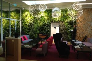 Del glamour al equilibrio ambiental