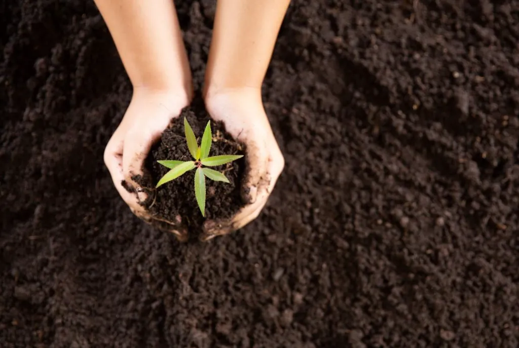 El suelo también tiene su día y razones de sobra para celebrarlo 11 El suelo