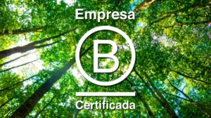 Empresas B
