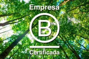Empresas B