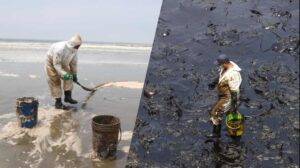 Empresas causan daños irreversibles a los suelos y mares mexicanos