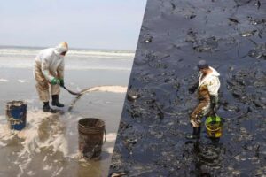 Empresas causan daños irreversibles a los suelos y mares mexicanos