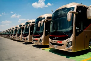 Grupo Flecha Amarilla 1