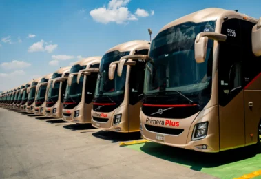 Grupo Flecha Amarilla consolida su compromiso verde con buses eléctricos y apoyo social 15 Grupo Flecha Amarilla 1