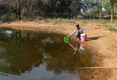 Guardianas del caudal
