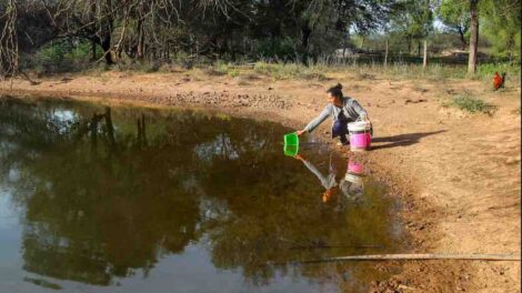 Guardianas del caudal