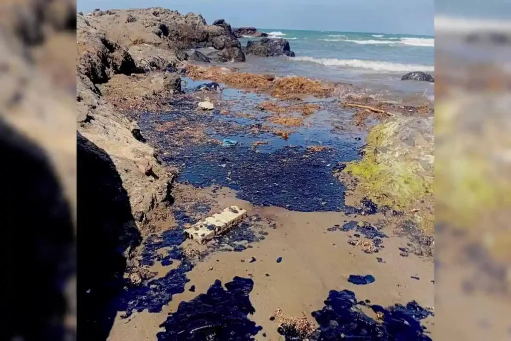 Desastre ambiental en Veracruz por derrame de petróleo