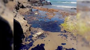 Desastre ambiental en Veracruz por derrame de petróleo