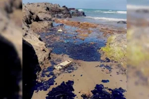 Desastre ambiental en Veracruz por derrame de petróleo