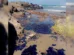 Desastre ambiental en Veracruz por derrame de petróleo