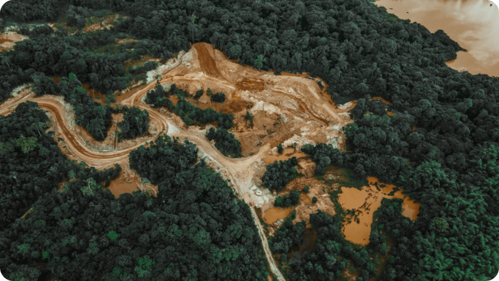 IA generativa aplicada al monitoreo de deforestación en tiempo real 11 IA generativa aplicada al monitoreo de deforestación en tiempo real