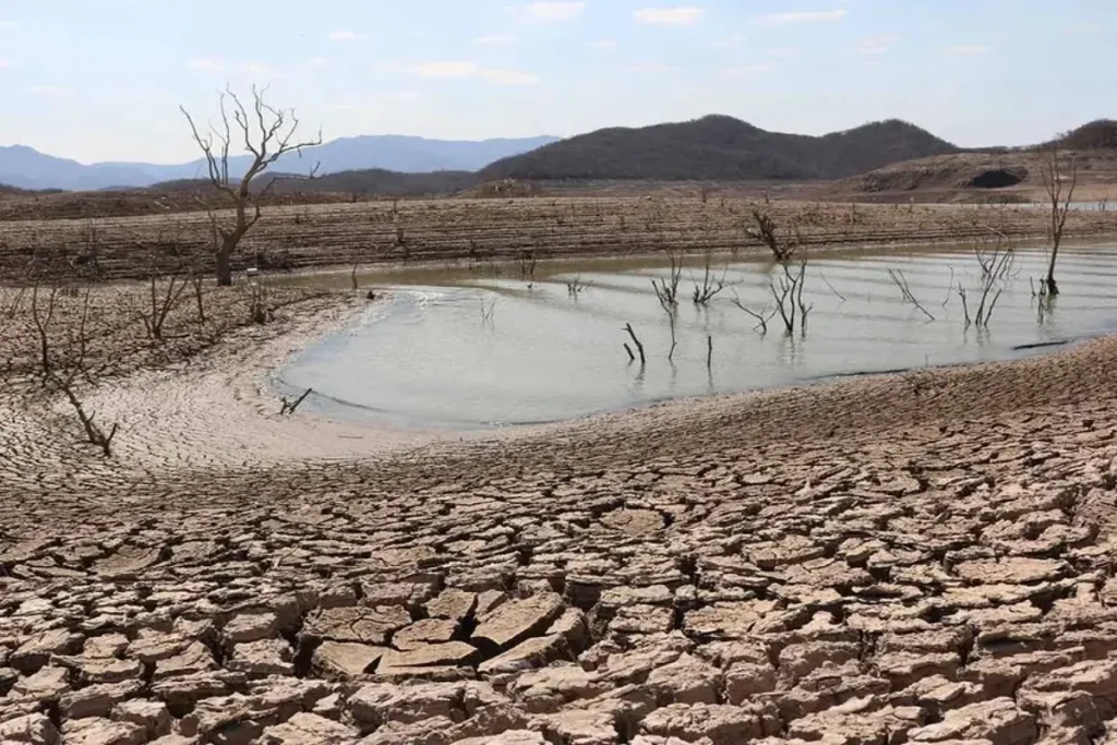 Imagen de WhatsApp 2025 04 15 a las 10.36.21 7dd3b854