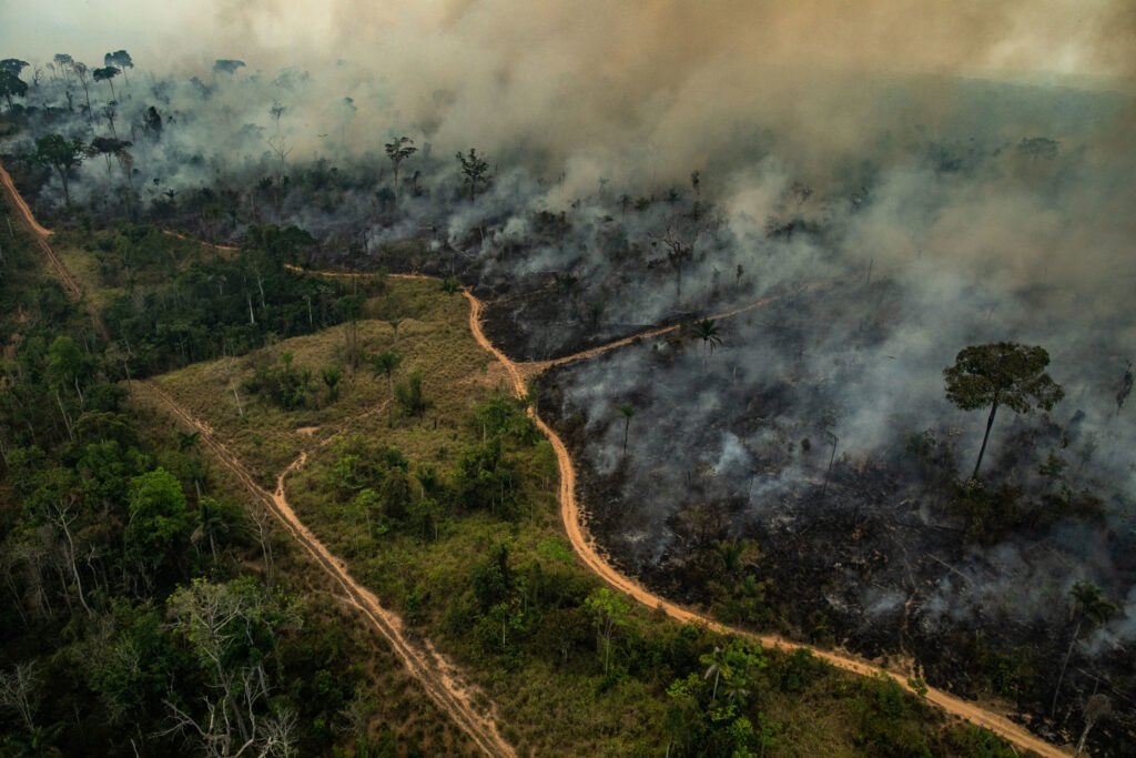 Amazonía: Temperaturas extremas y la urgencia de actuar frente al cambio climático 11 Incendie Altamira