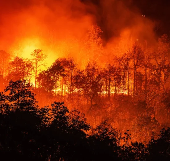 Incendios forestales en diciembre: