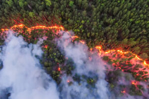 Incendios forestales en Bielorrusia