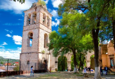 Tlaxcala a la vanguardia: Implementa Polo de Economía Circular para transformar residuos en bienestar 18 tlaxcala